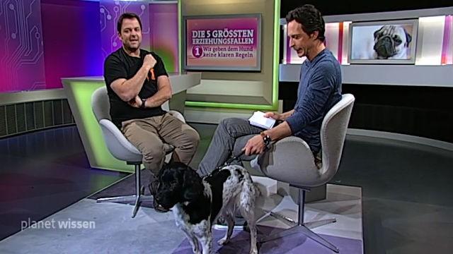 Mein Hund und ich – Tipps von Martin Rütter