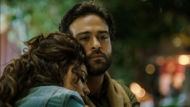 If you weren't a wolf, the dogs would eat you