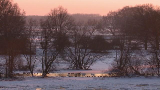 Die Elbe (2): Von Sachsen zum Wattenmeer