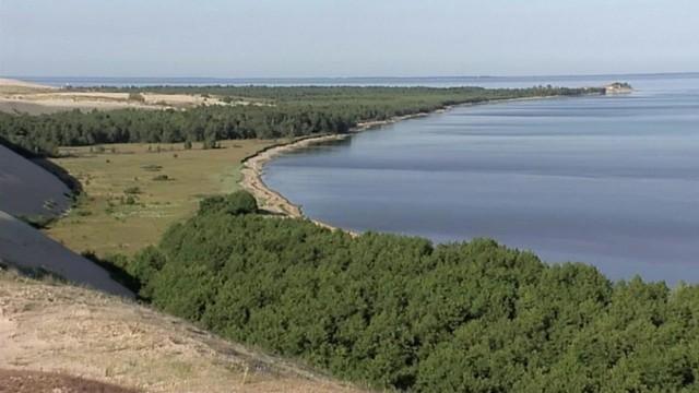 Ostpreußens Küste - Elche, Sand und Seeadler
