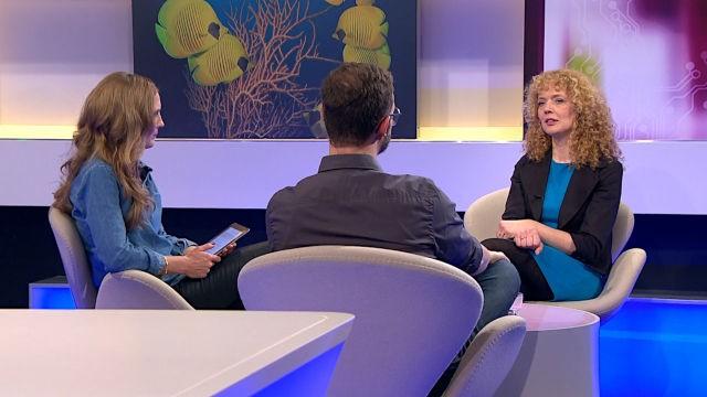 Künstliche Ökosysteme – das Meeresmuseum Stralsund