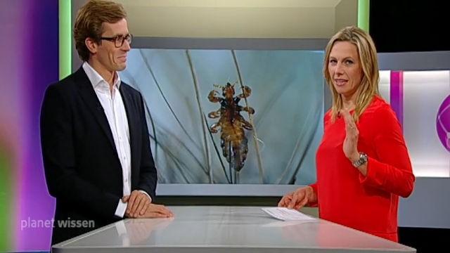 Lebensraum Mensch – Von Bakterien, Läusen und Zecken