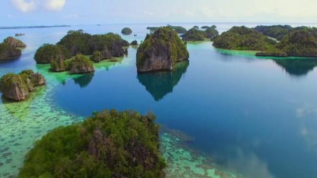 Wildes Südostasien (2): Im Reich der Flugdrachen