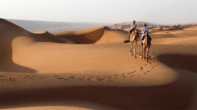 Wildes Arabien - Wüste voller Leben