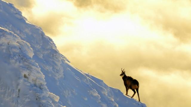 The High Tatras (1): Life on the edge