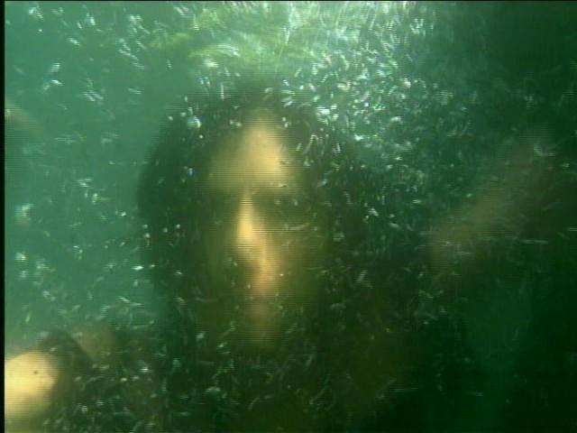 Wild Drowning