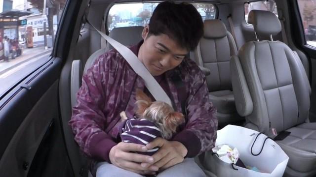 3 Idiots 1 Year Anniversary, Ulleungdo Seafood Exploration Pt. 2 / Hyun Moo's Dog Trip To Animal Hospital