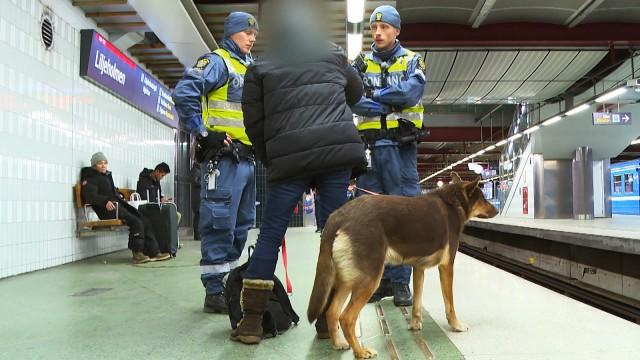 Klagomål om stridslysten hund på ett tåg.
