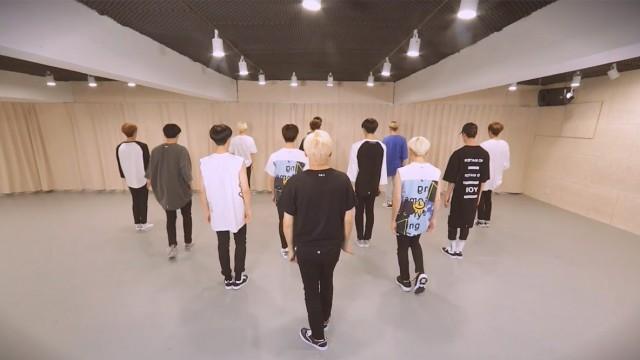 [Choreography Video] SEVENTEEN (세븐틴) - Crazy in love