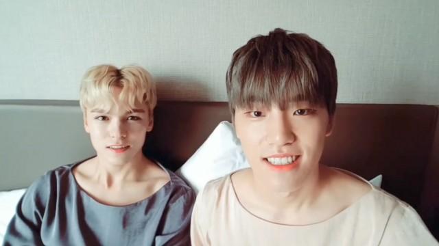 [SEVENTEEN] 버디의 캐럿들만 생각나는 오후시간 ♡