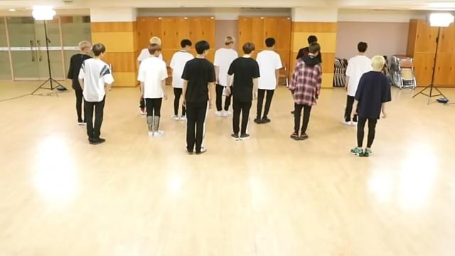 [Choreography Video] SEVENTEEN (세븐틴) - 울고 싶지 않아 (Don’t wanna cry) Rearview ver