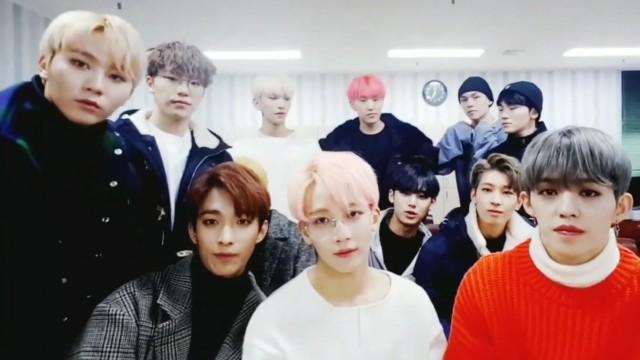 [SEVENTEEN] 캐럿캐럿캐럿 사랑해 보고싶어서 옴!