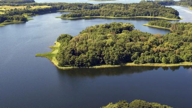 Wilderness between Lübeck and Elbe