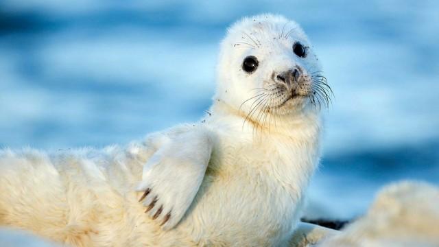 The Baltic Sea - From Estonia to Finland