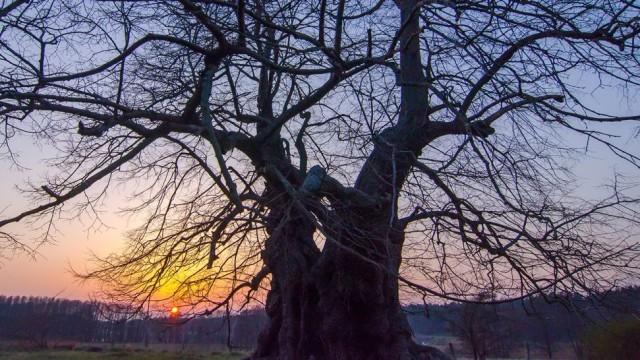 Wildes Deutschland – Die Müritz