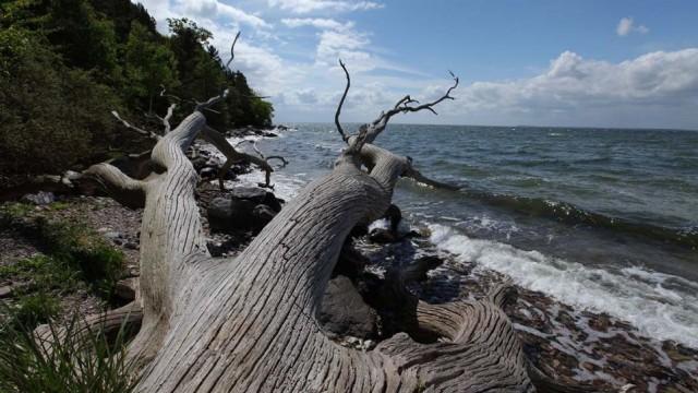 Wilde Ostsee (2): Von Dänemark bis Lettland