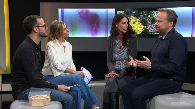 Das große Insektensterben – Was können wir tun?