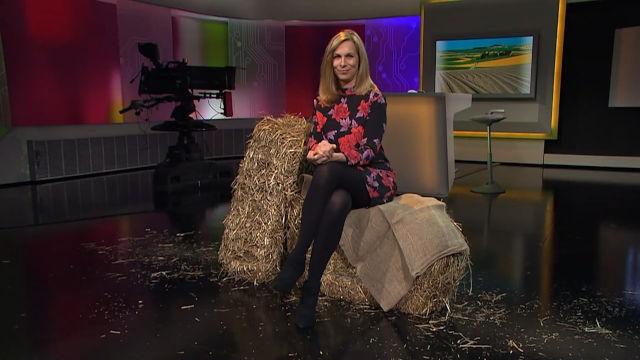 Gute Ernte um jeden Preis? Die Zukunft der Landwirtschaft