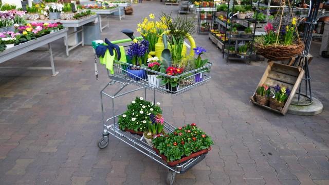 Obi, Dehner & Co. – Der große Gartencenter-Check