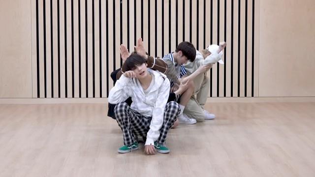 'Cat & Dog' Dance Practice
