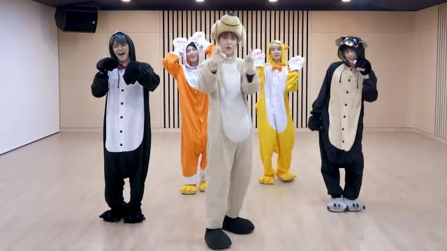 ‘Cat & Dog’ Dance Practice (Animal ver.)