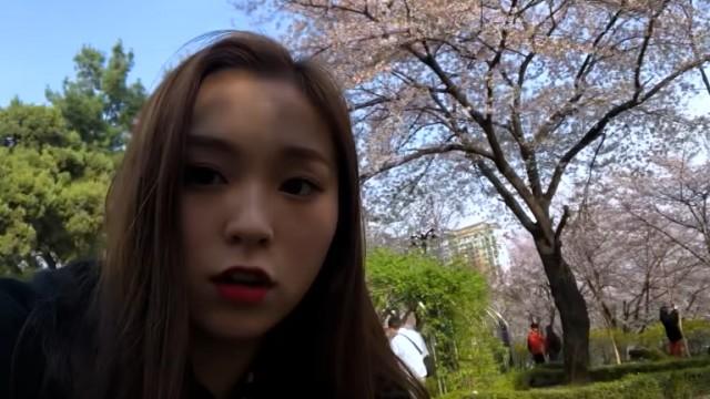 Gahyeon's Vlog: Cherry Blossom Viewing & Lotte World