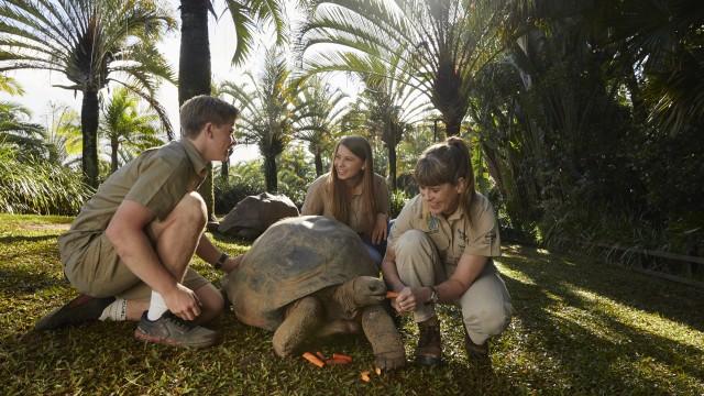 Bosco The Croc's Big Move