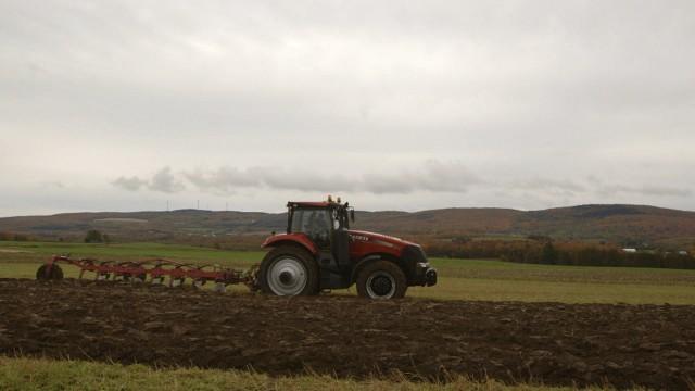 La première journée à la ferme