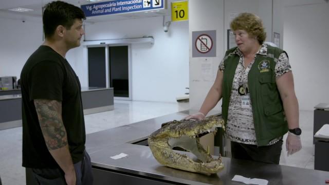 Está Pegando Bastante Fogo!