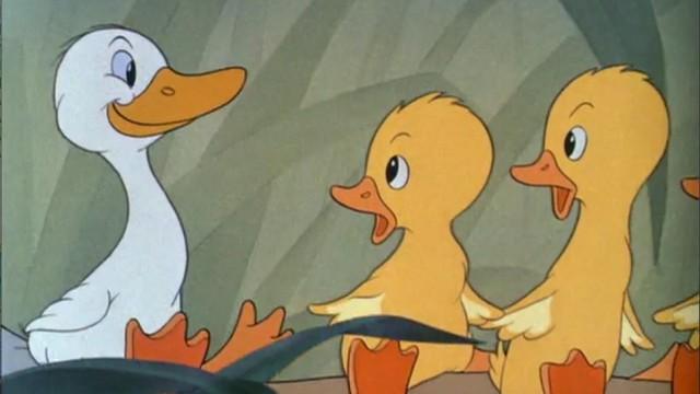 Ugly Duckling