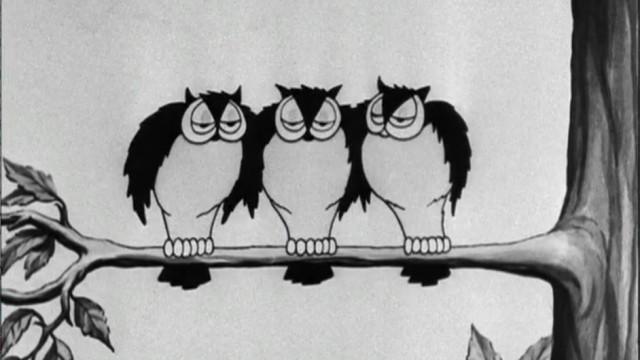 Birds of a Feather
