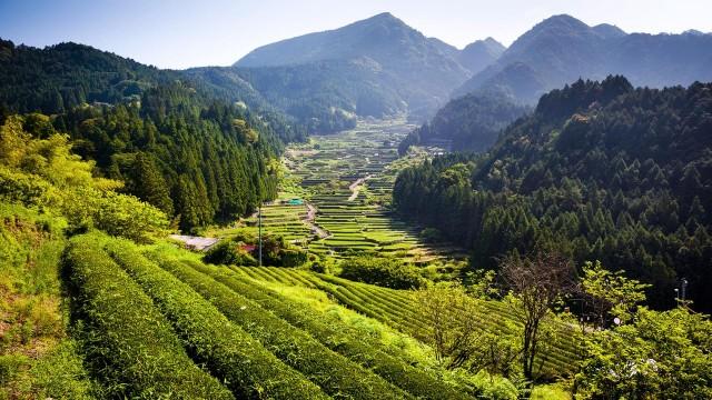 Wildes Japan (1): Honshu