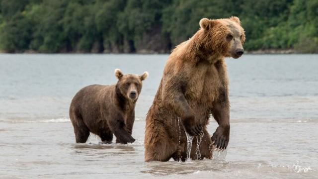 Russlands wildes Meer (1): Kampf ums Überleben