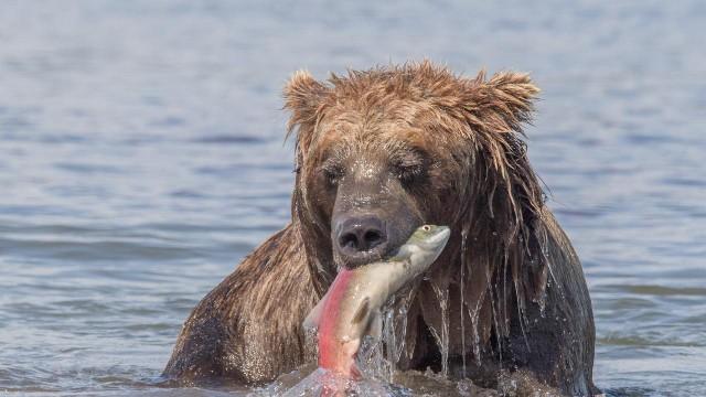 Russlands wildes Meer (2): Jahre im Überfluss