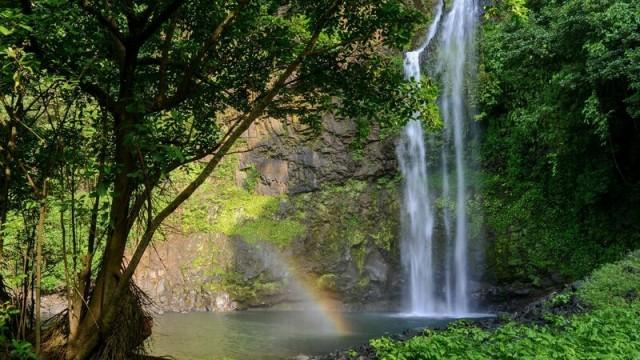 Afrikas geheimnisvolle Welten - Die Insel der Affen