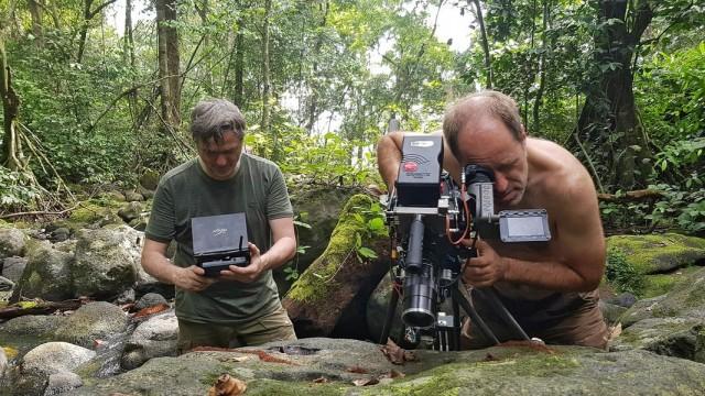 Unter Afrikas Affen - Das Abenteuer