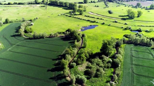 Wilde Tiere an der Leine - Das Hannoversche Land