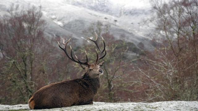 Die Wildnis der Wikinger - Inseln im Nordatlantik