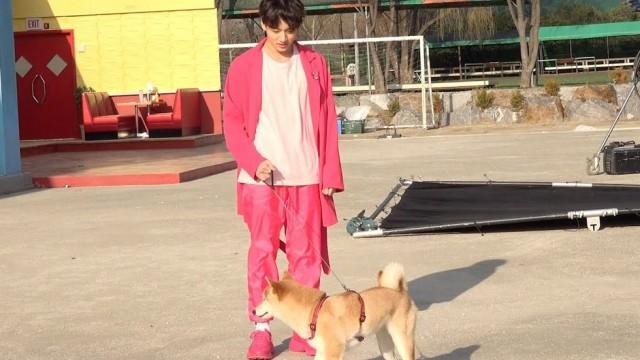 There’s a Dog on the Set with BTS