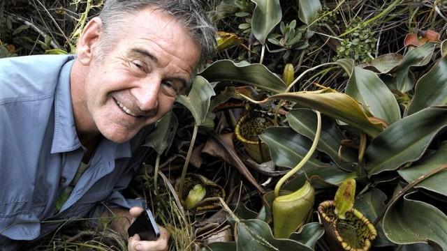 Die wilden Philippinen (2) - In den Wäldern von Palawan