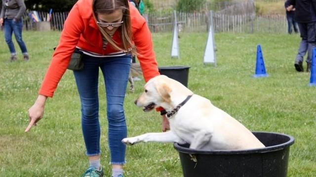 Partner mit Supernase - Hunde im Einsatz für den Menschen