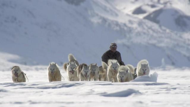 Wildes Kanada (4): Der hohe Norden