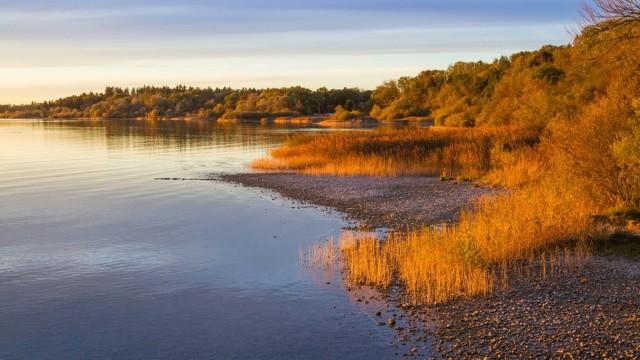 Chiemgau im Wandel - Hochwasser und Zombiebäume