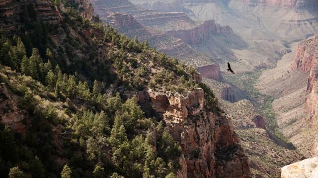 Amerikas Naturwunder - Der Grand Canyon