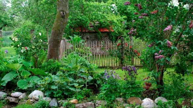 Geheimnisvoller Garten (1) - Frühlingserwachen