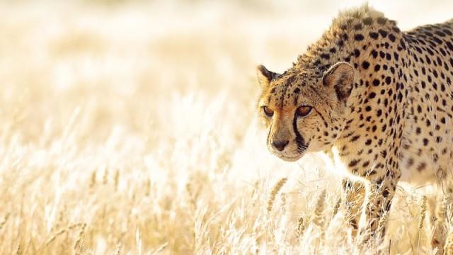 The Hardest Challenge