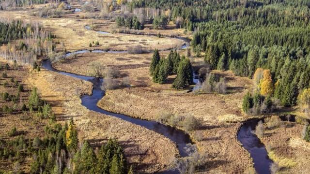 Der Bach – Lebensadern der Landschaft