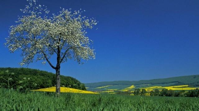 Das Weserbergland – Sagenhaftes Niedersachsen