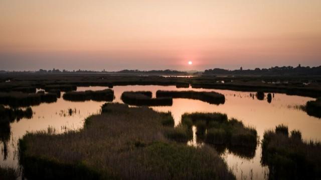 Wildes Österreich (2) Vom Bergbach zur Donau