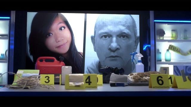 L'ombre d'un tueur en série : l'affaire Sophie Le Tan